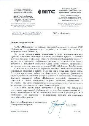 Н.А. Булаш
